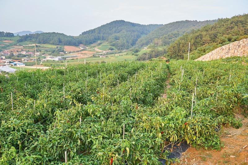 숙소 시설