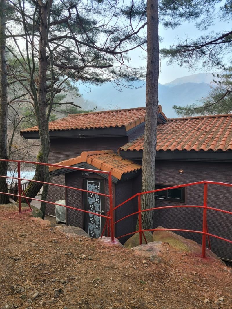 Hwaak mountain pine tree resort in Hwacheon