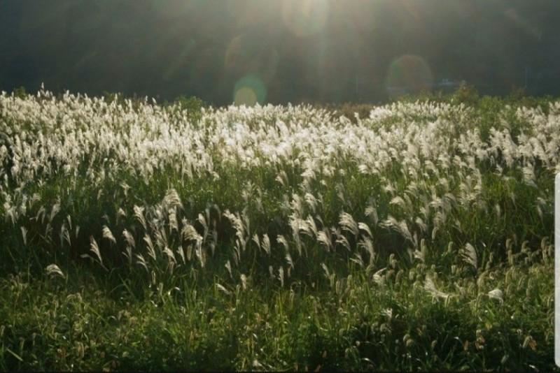 Pocheon Sanulrim Pension-61