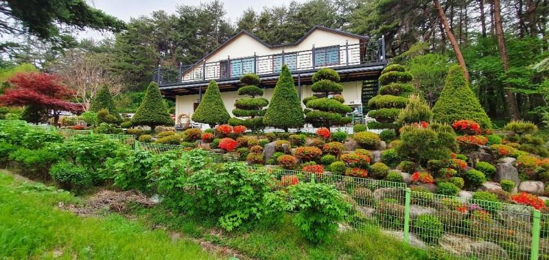 Yangyang Starlight Garden Pension