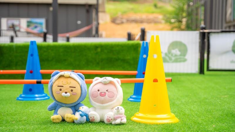 대표 사진