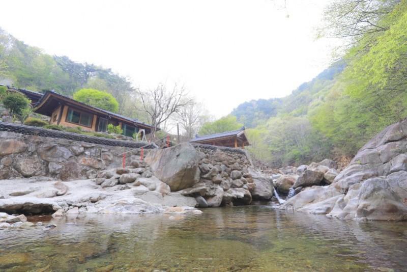 대표 사진
