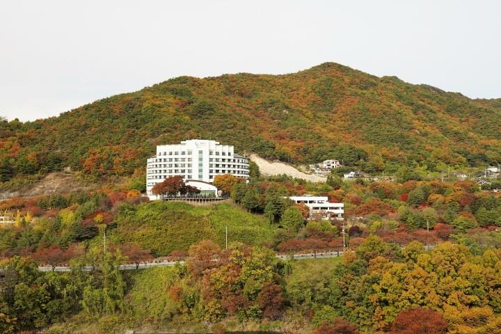 대표 사진