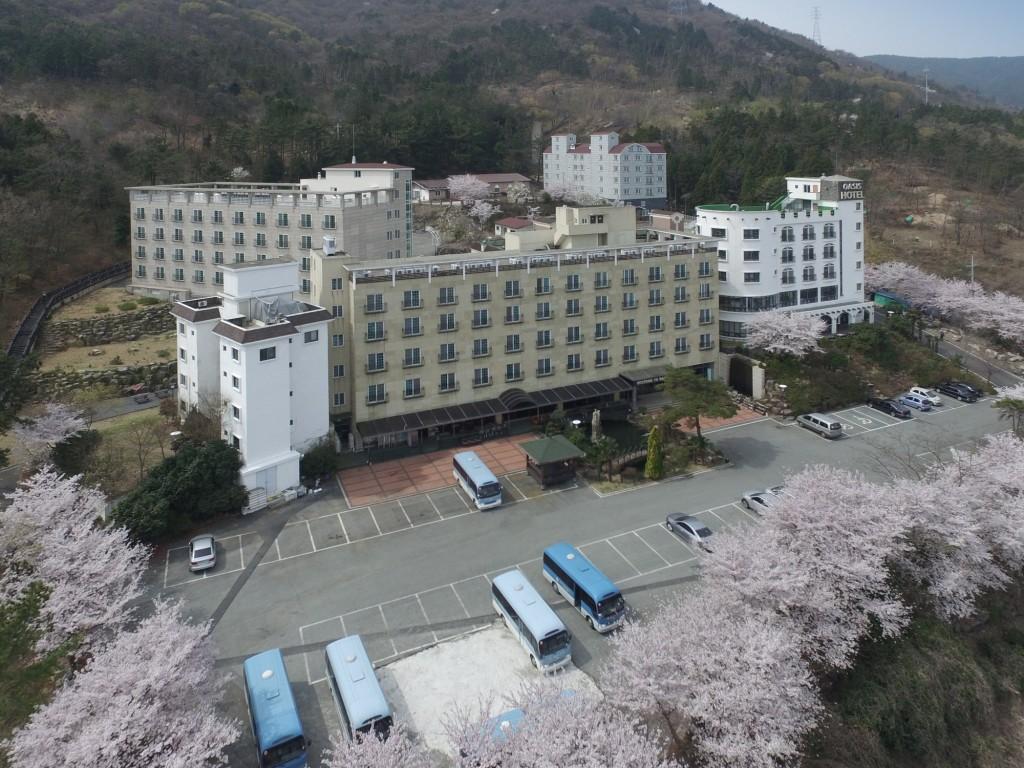 대표 사진