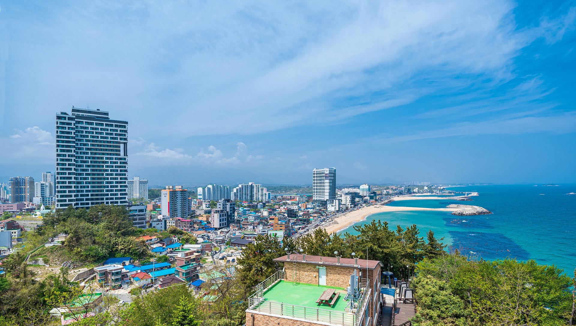 대표 사진