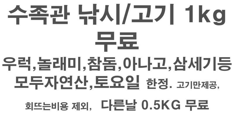 숙소 시설