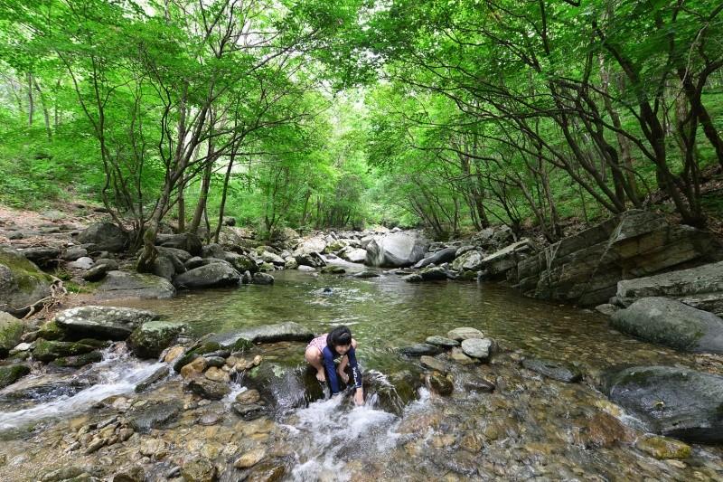 Gapyeong Lavender Pension-29