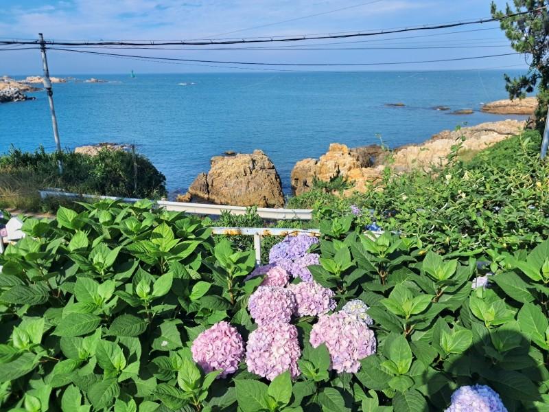 숙소 시설