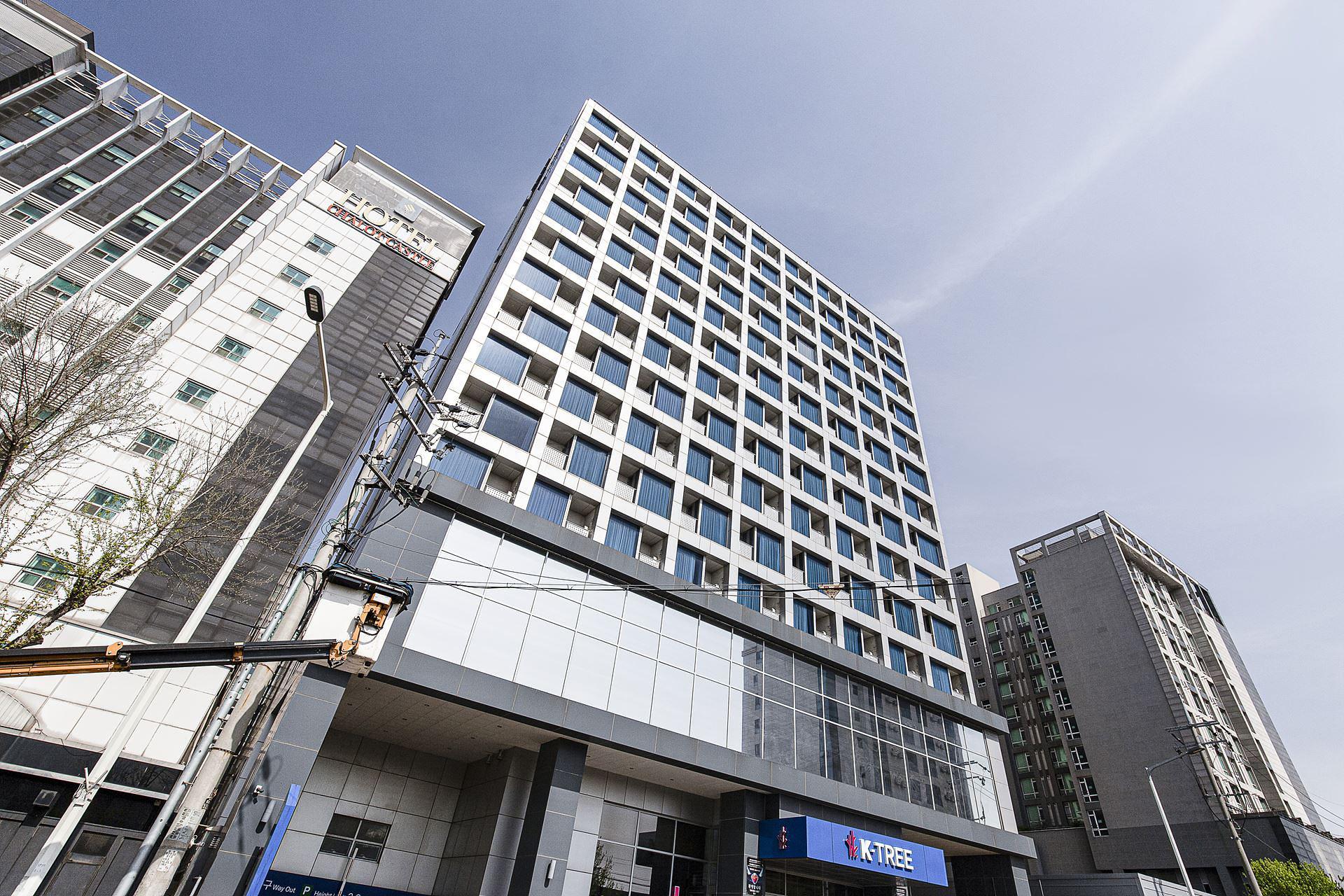 대표 사진