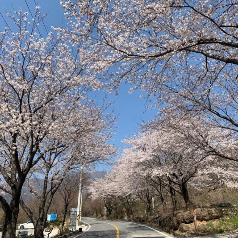 숙소 시설