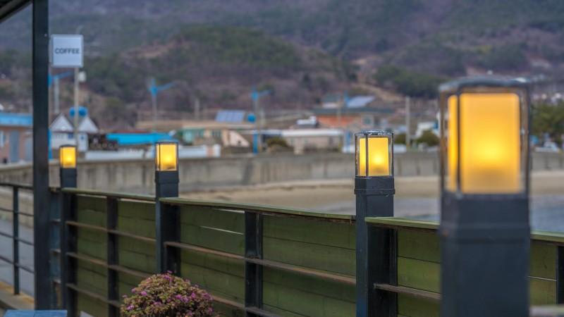 대표 사진