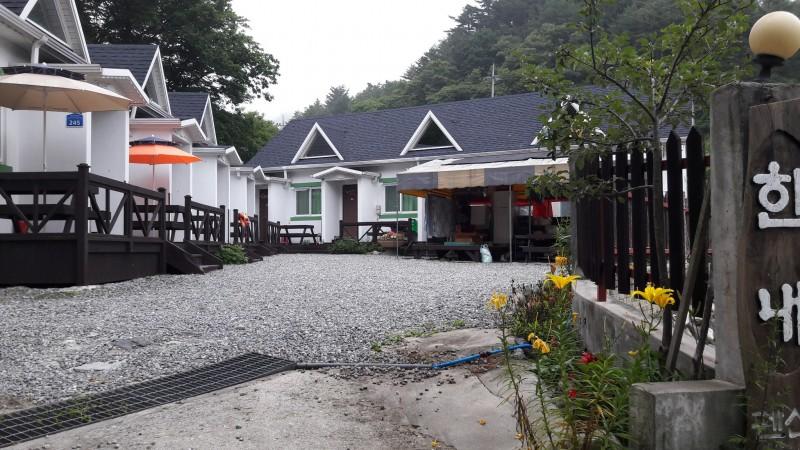 대표 사진