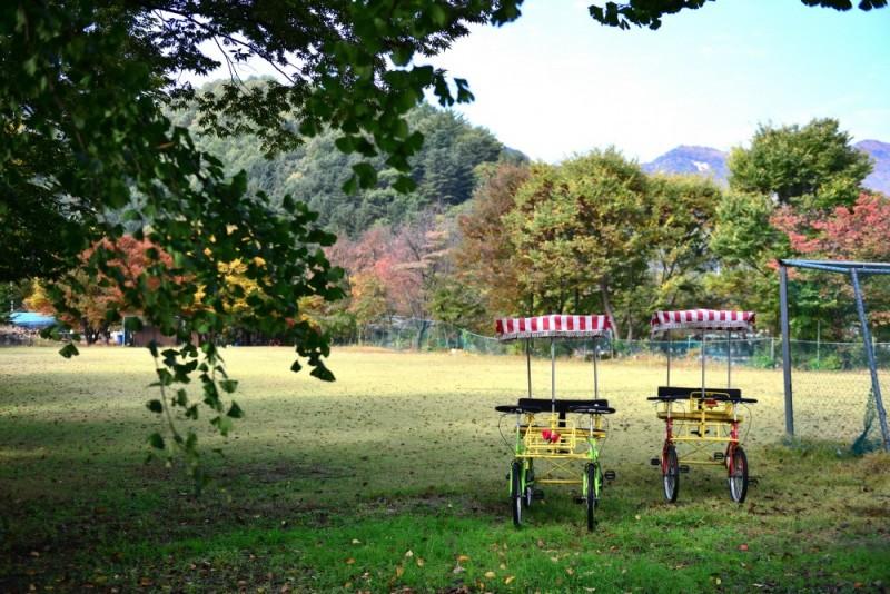 Gapyeong Flower Muji Pension (near the valley)-14
