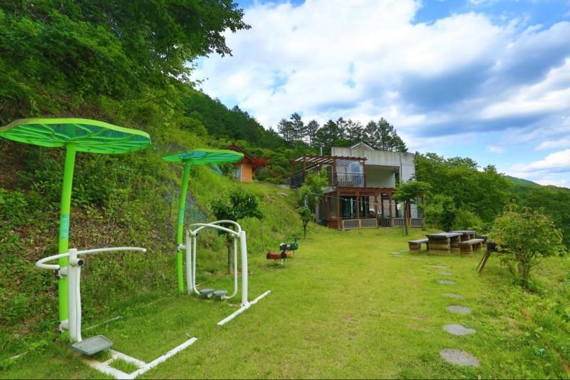 대표 사진