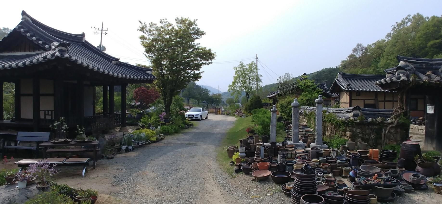 Chungju Real flowers and Taeknadeuli Pension-2