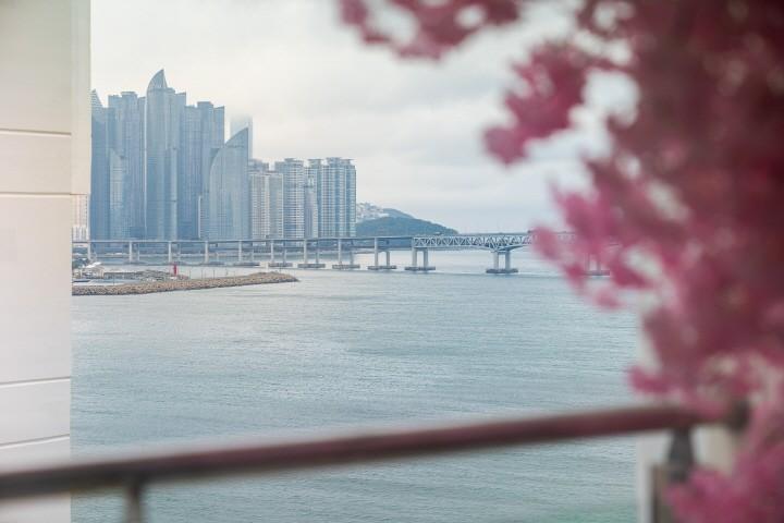 대표 사진