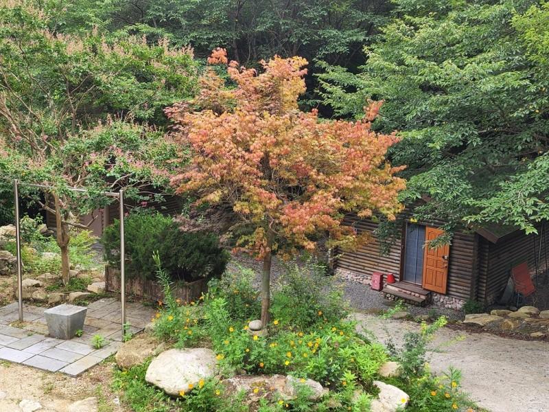 숙소 시설
