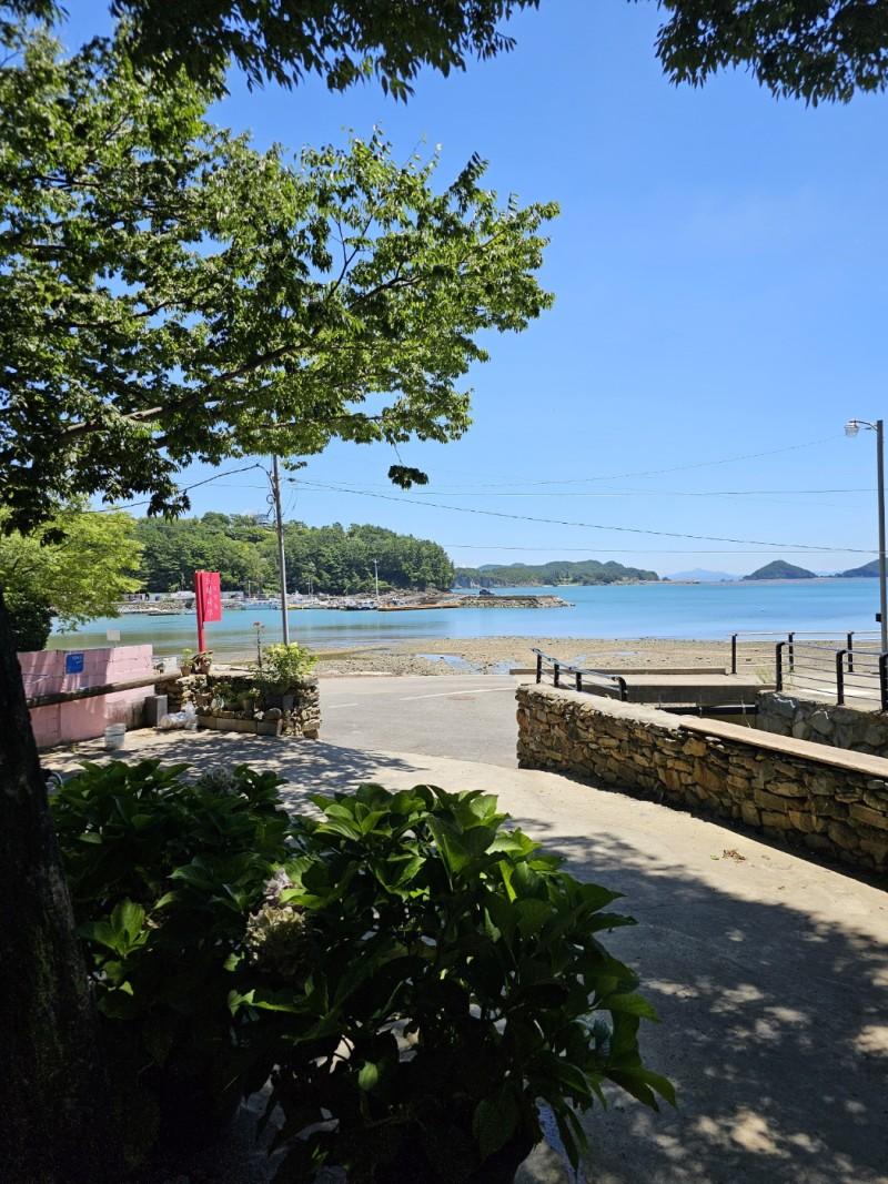 Goseong Zelkova Fairies Pension