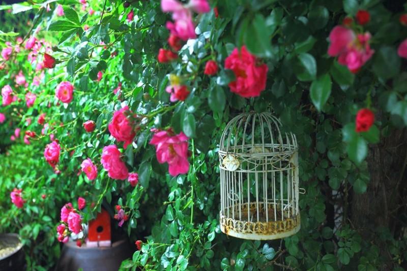 Ganghwado Maison Stella Pension-25