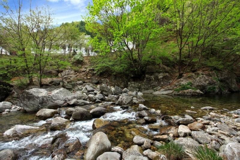 Gapyeong Dorothy Pension (next to the valley)-4