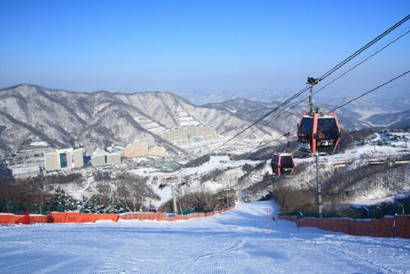 대표 사진