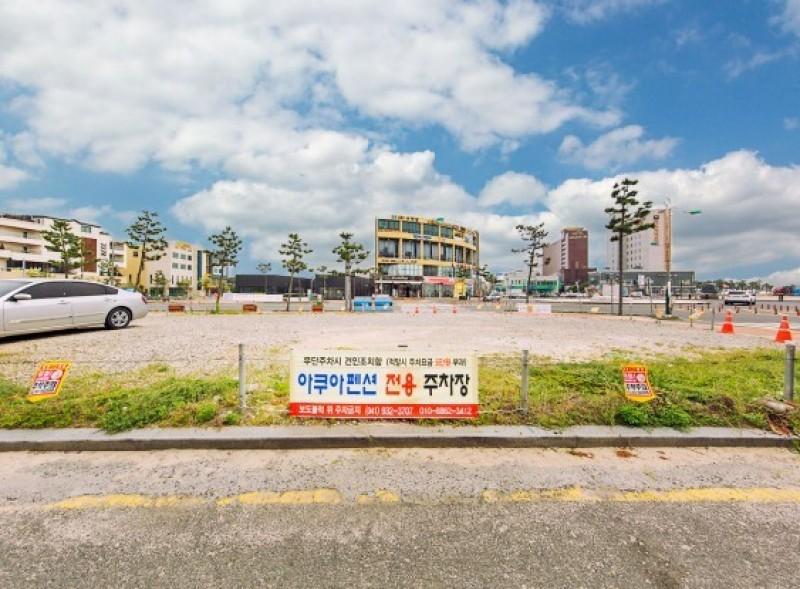 대표 사진