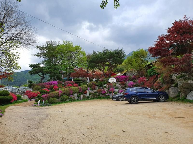 Gapyeong Flower Muji Pension (near the valley)-46