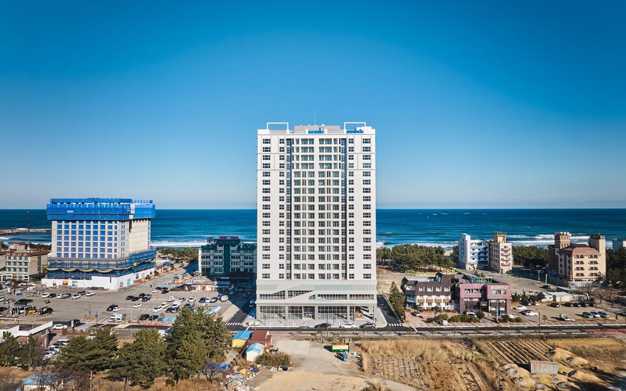 대표 사진