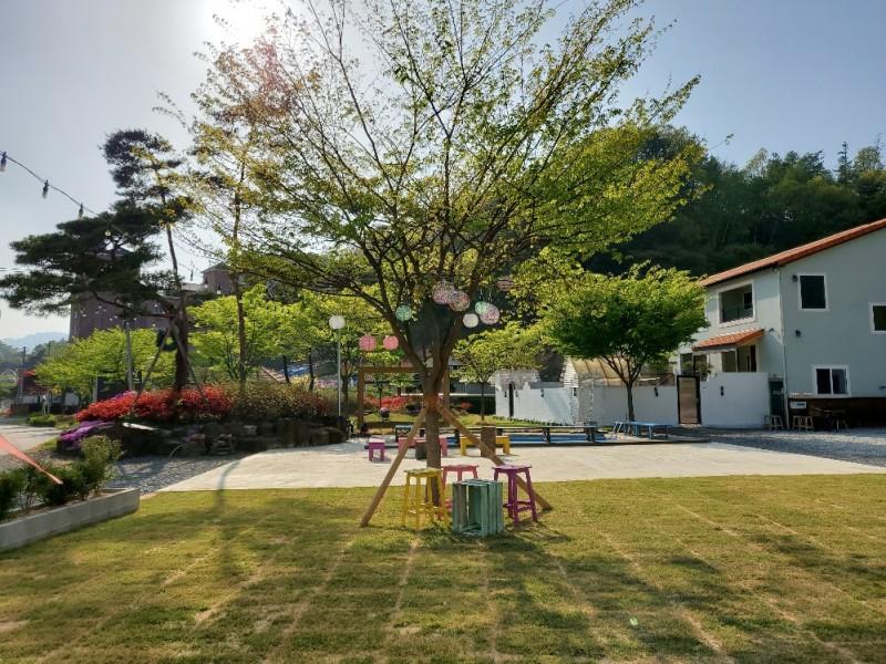대표 사진
