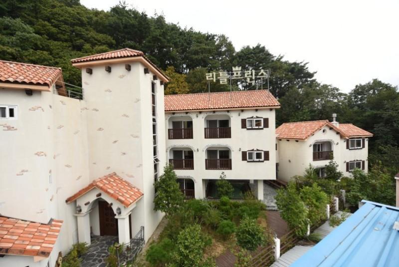대표 사진