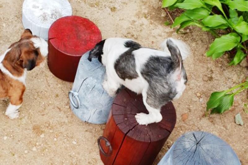 Pocheon Sanulrim Pension-51