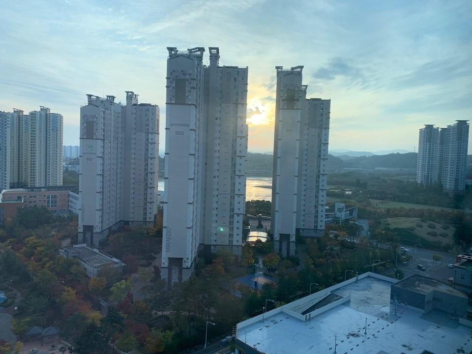 대표 사진