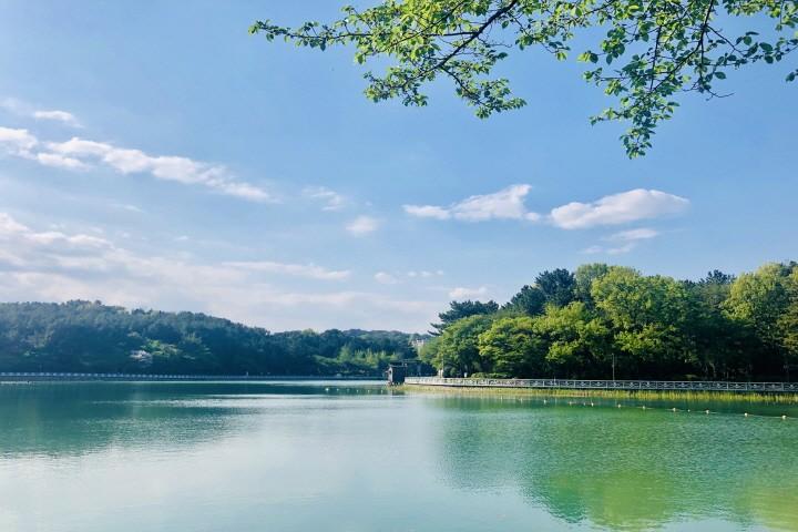 대표 사진