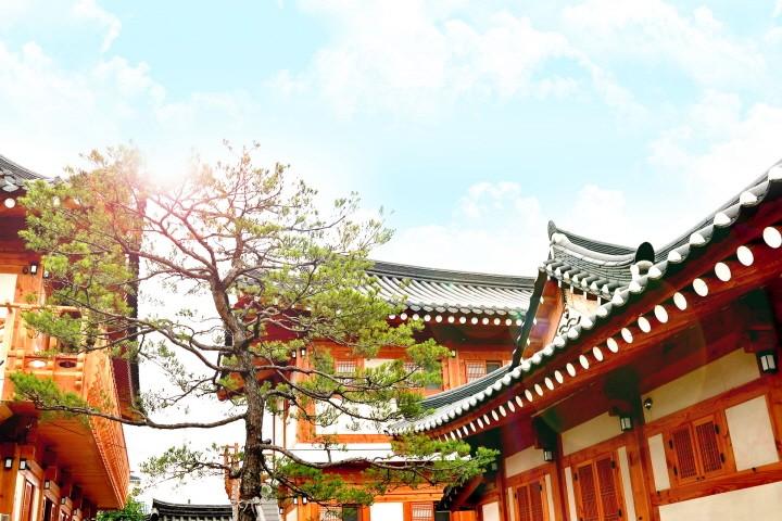 대표 사진