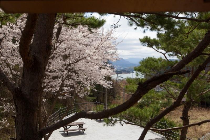 Gapyeong Princess of the Forest Pension-11