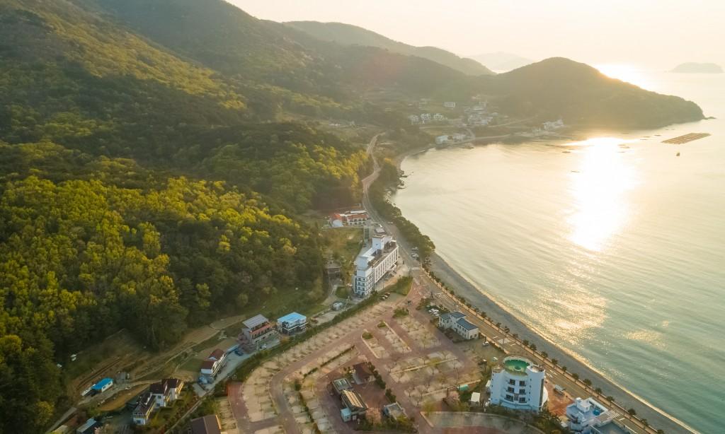 대표 사진