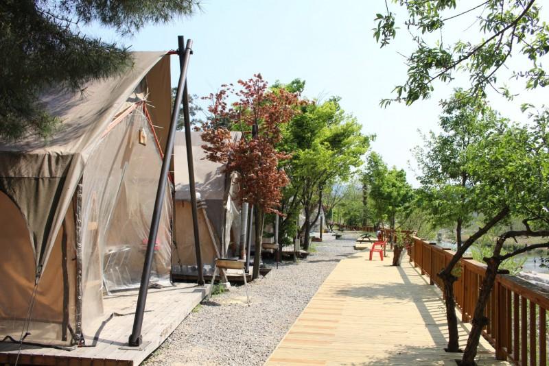 Pocheon Pine Tree Glamping Poolvilla-41