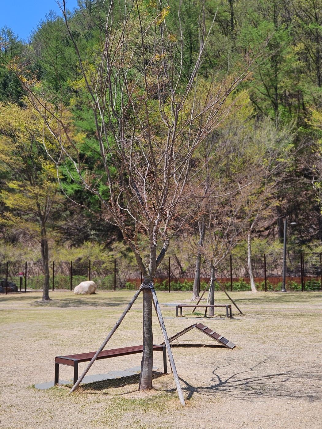 대표 사진