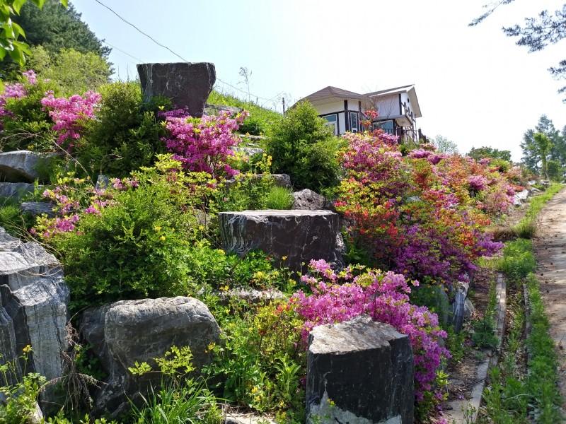 대표 사진