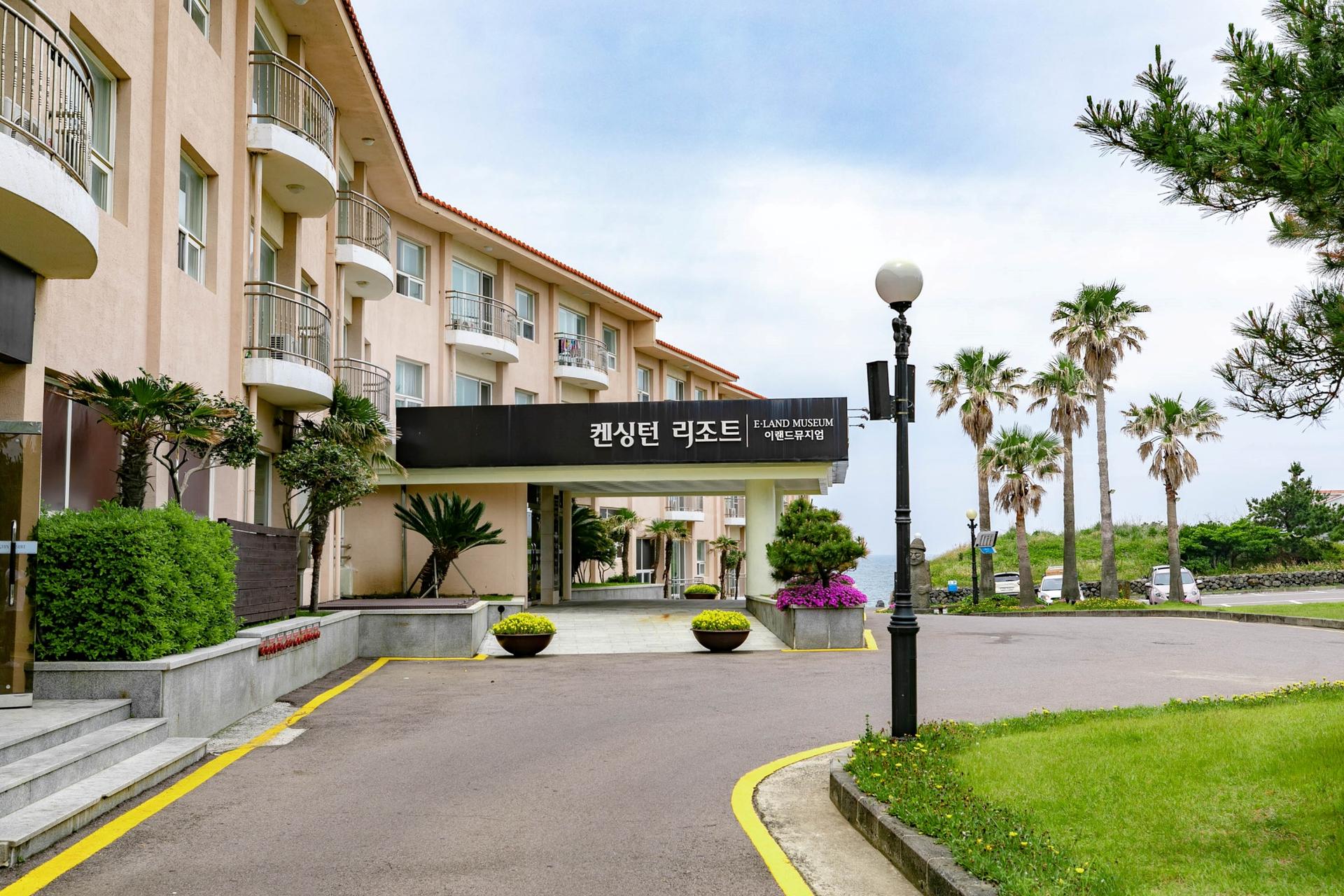 대표 사진