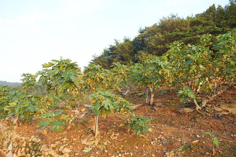 숙소 시설