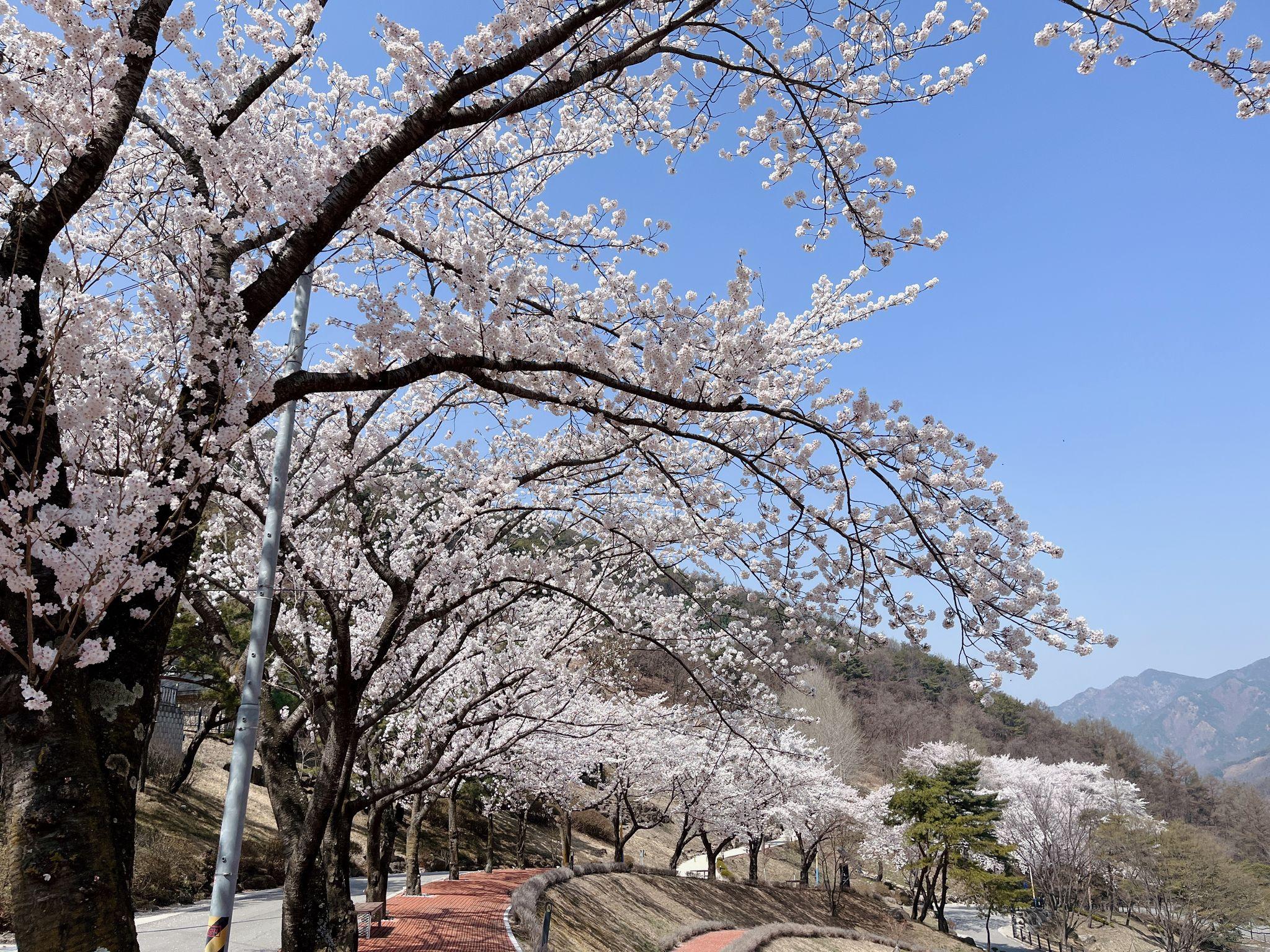 대표 사진