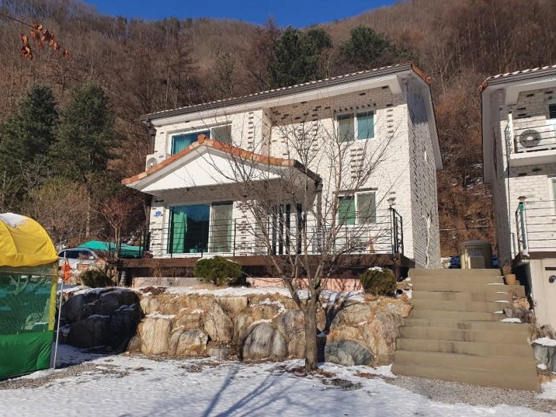 대표 사진