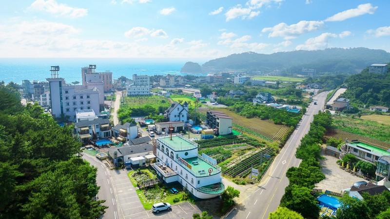 대표 사진