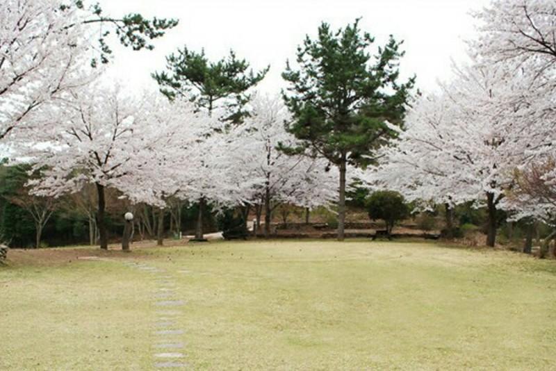 숙소 시설