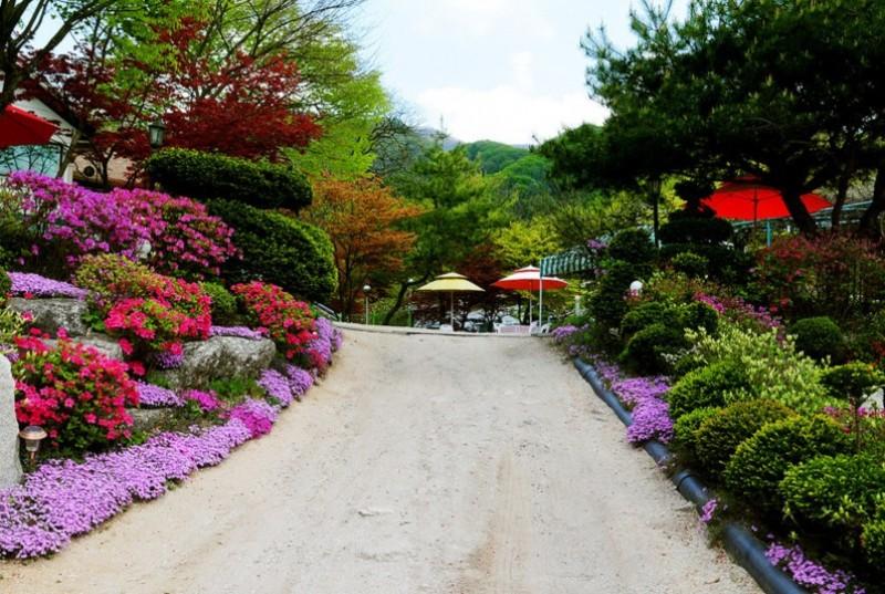 Gapyeong Flower Muji Pension (near the valley)-71