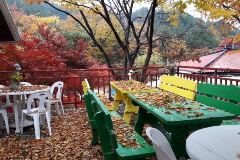 Gapyeong Flower Muji Pension (near the valley)-91