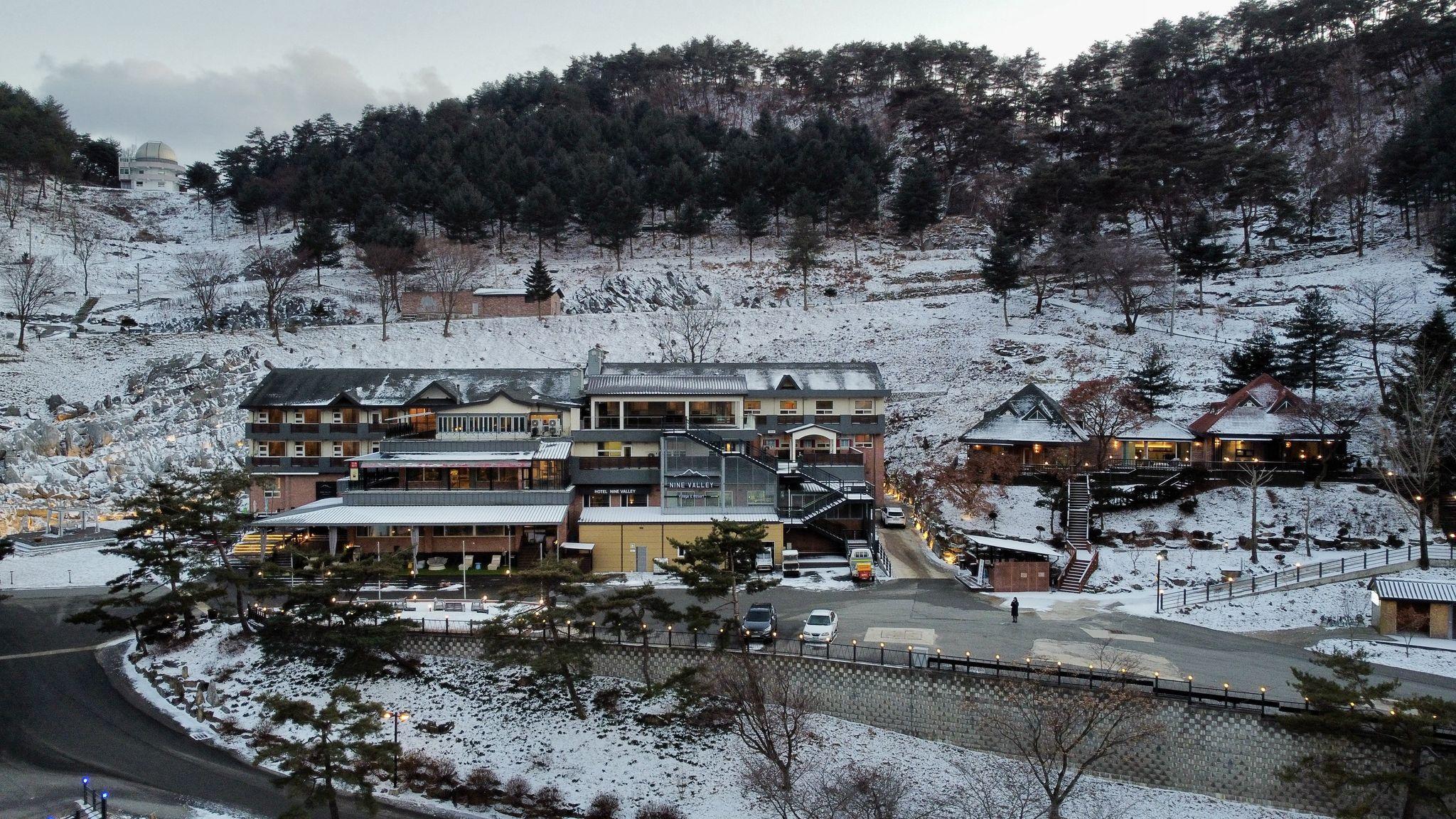 대표 사진