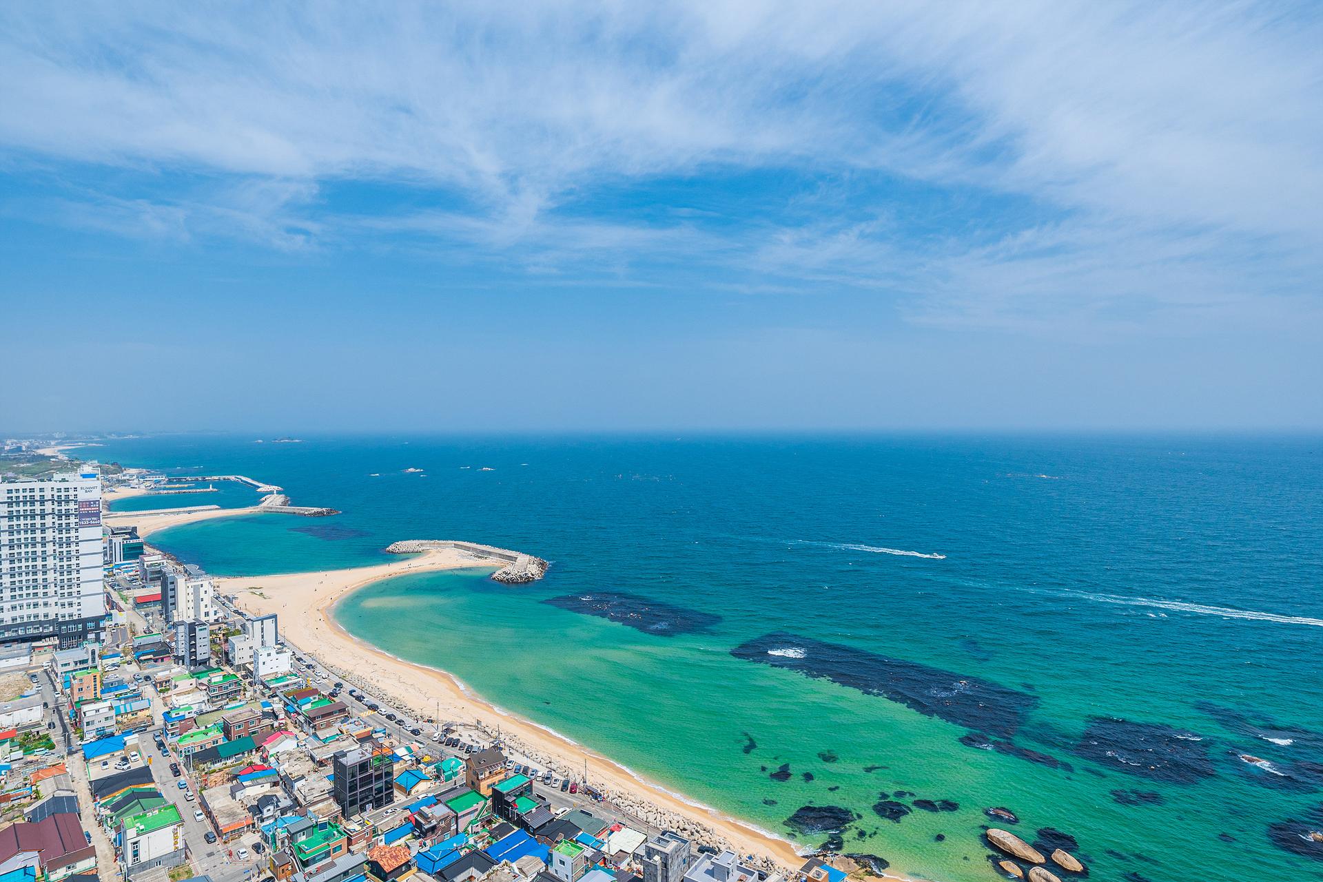 대표 사진