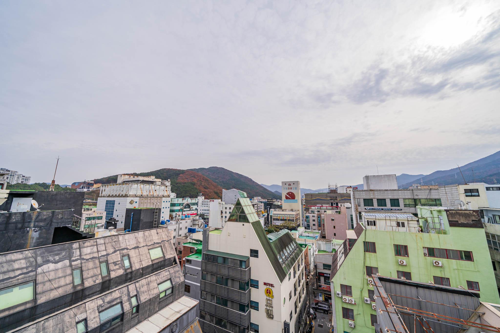 기타